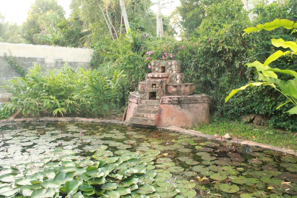 Hotel Puuc Oxkutzcab Ngoại thất bức ảnh